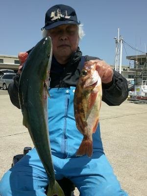 イナダ(ブリ)・オキメバル(ウスメバル)