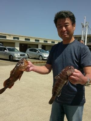 メバル・ハタ(マハタ)