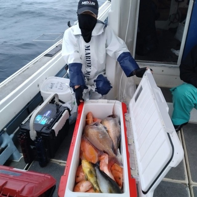 マダイ・イシダイ・アカイサキ・イサキ