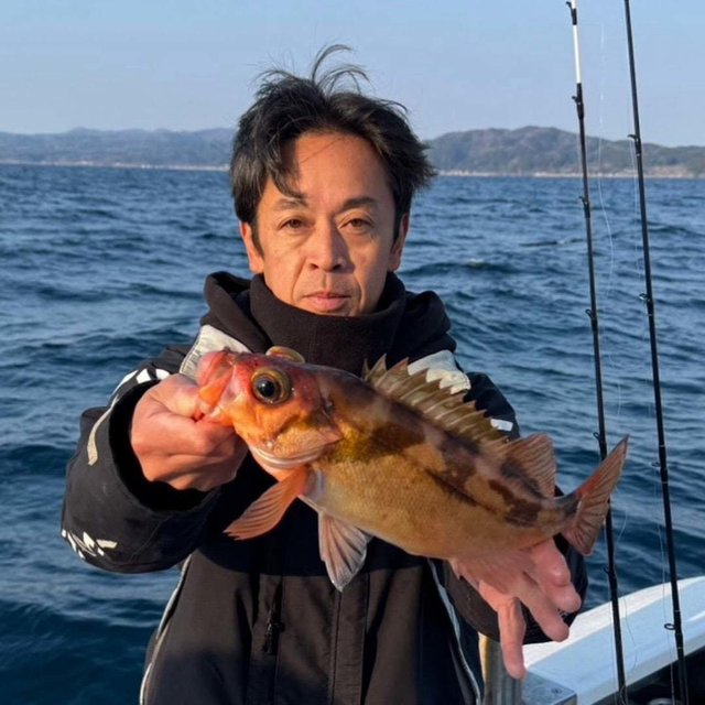 ヤナギ(ウスメバル)