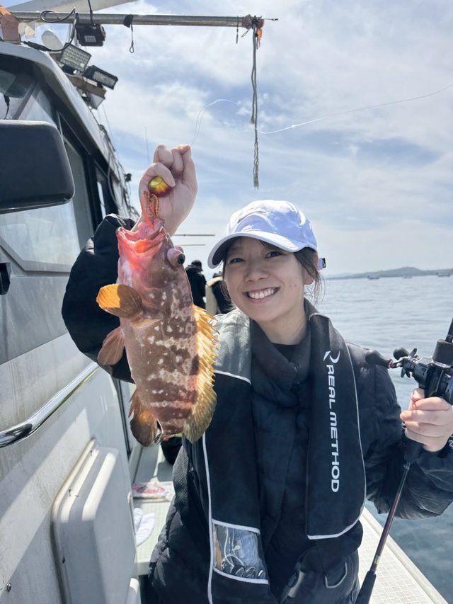 アコウ(キジハタ)