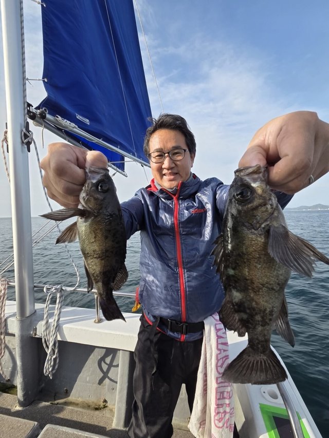 クロメバル(メバル)