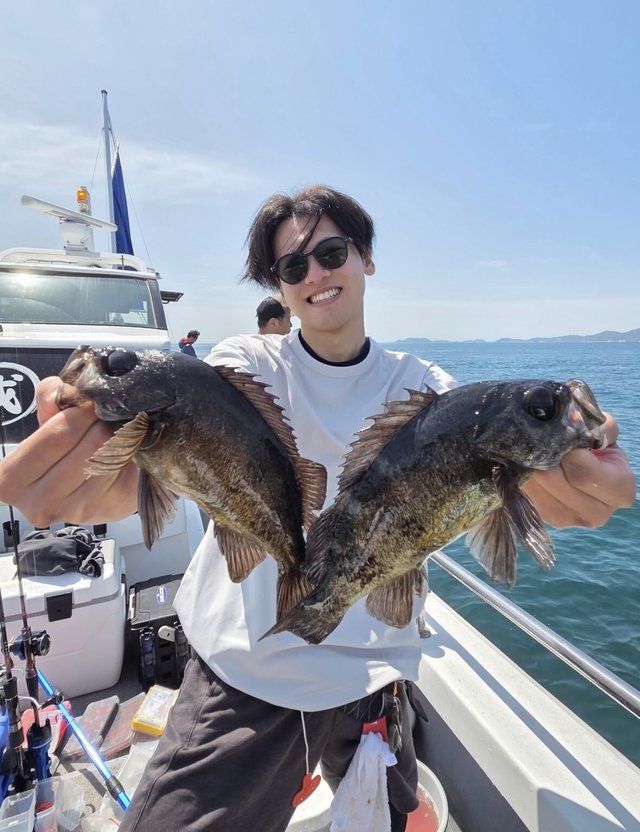 クロメバル(メバル)