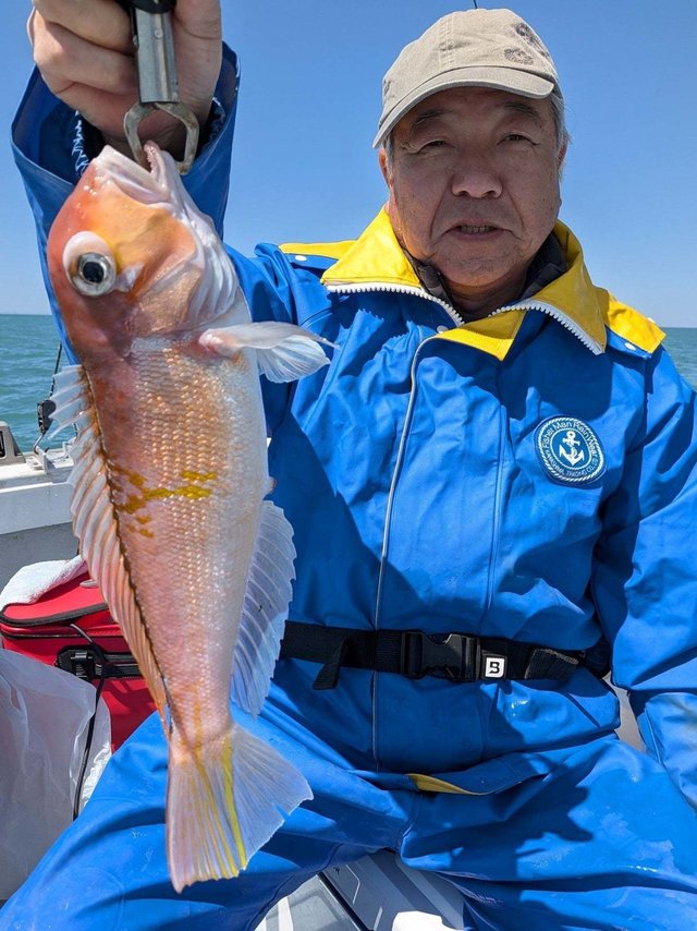 アマダイ(アカアマダイ)