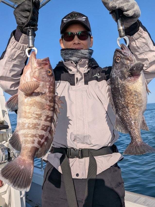 マハタ・クロソイ