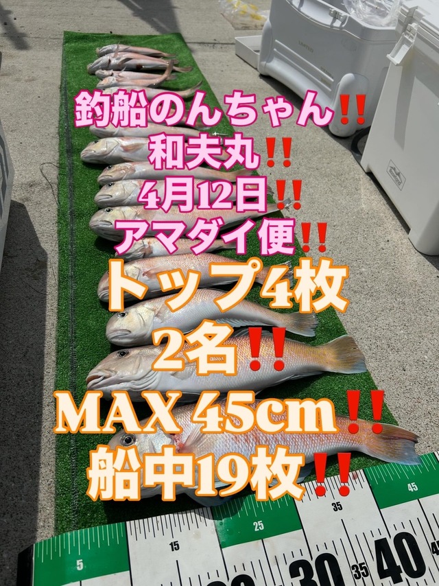 シロアマダイ