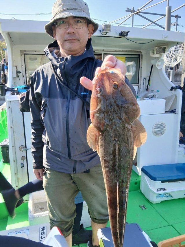 マゴチ
