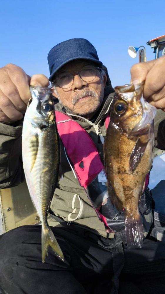 アジ(マアジ)・メバル