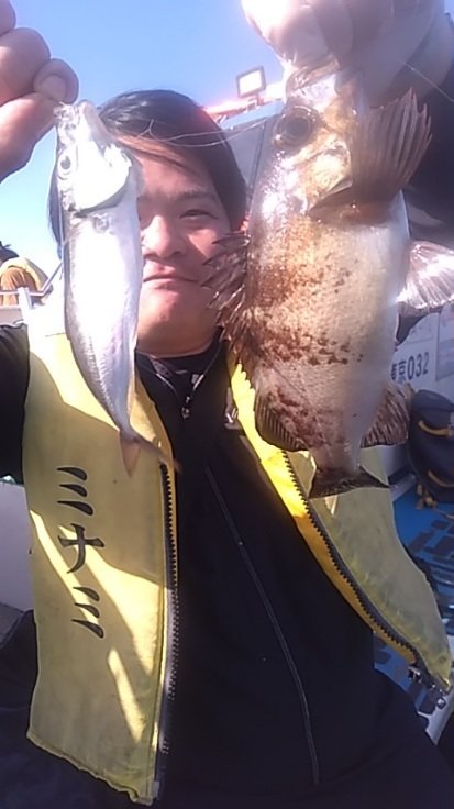 アジ(マアジ)・メバル