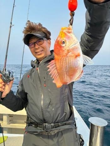 レンコダイ(キダイ)