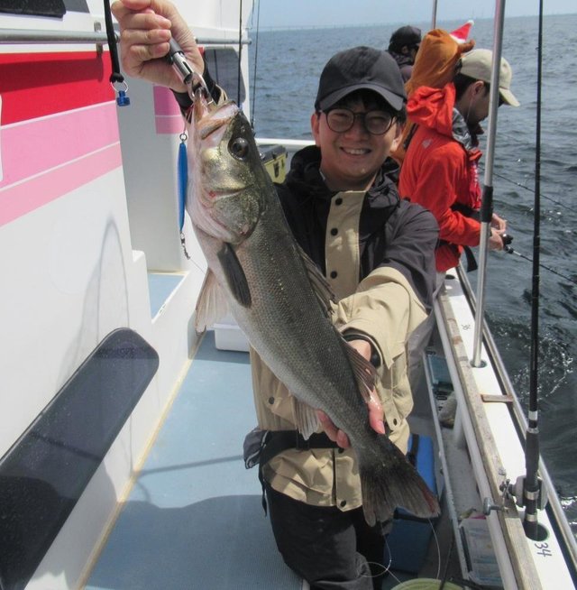 シーバス(スズキ)