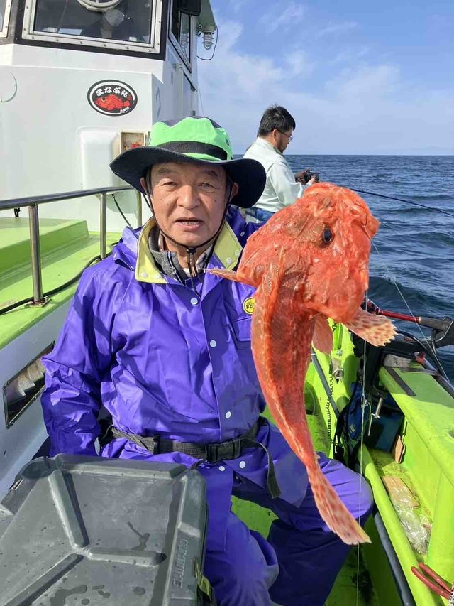 オニカサゴ