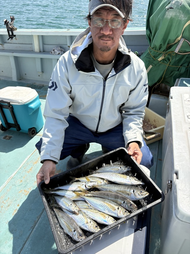 アジ(マアジ)