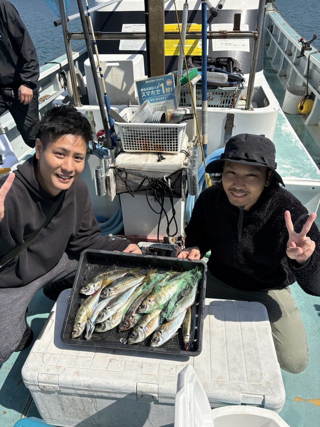 アジ(マアジ)