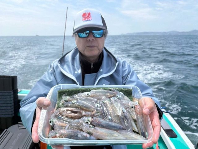 マルイカ(ケンサキイカ)