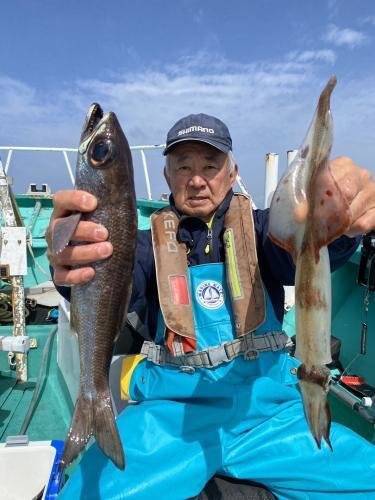 アジ(マアジ)・ヤリイカ