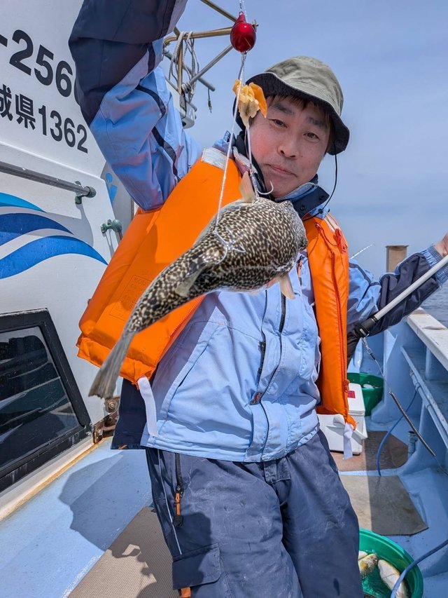 ショウサイフグ