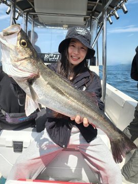 シーバス(スズキ)