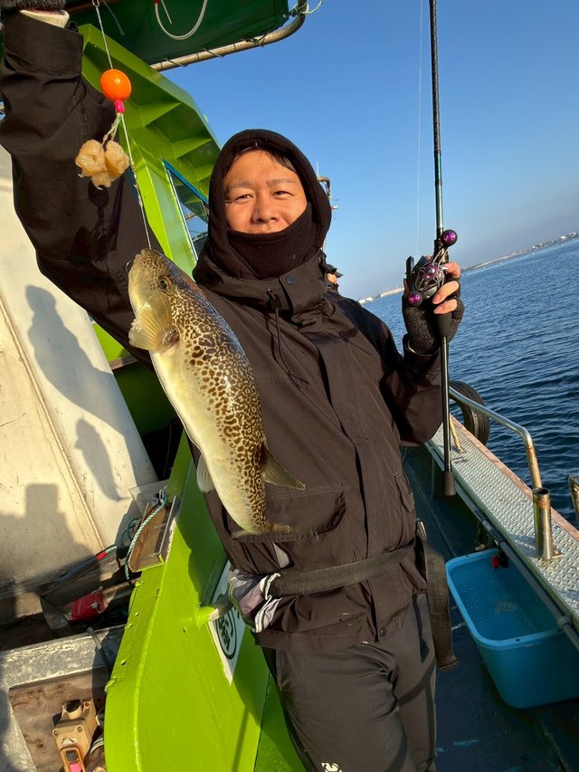 ショウサイフグ