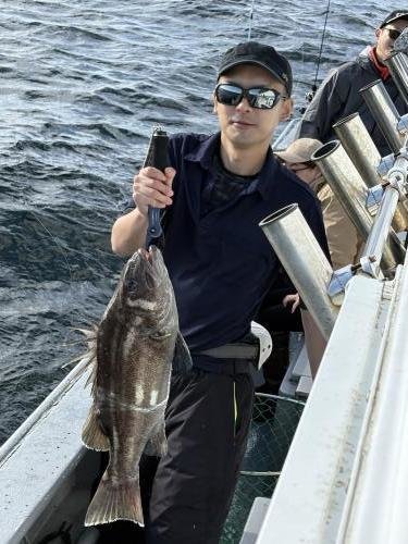 イシナギ(オオクチイシナギ)