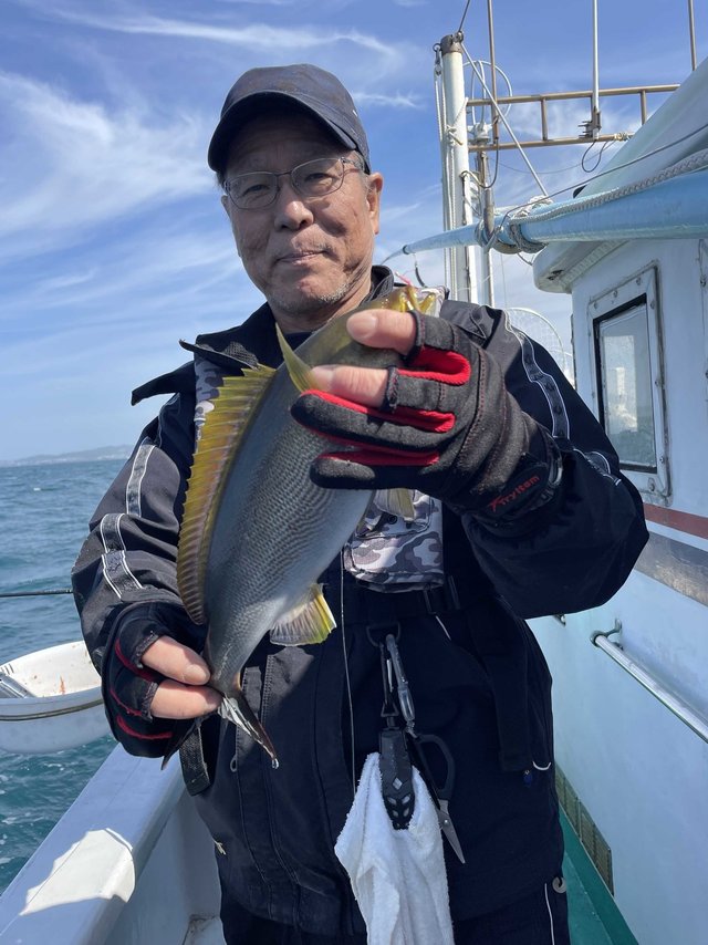 イサギ(イサキ)