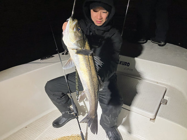 シーバス(スズキ)