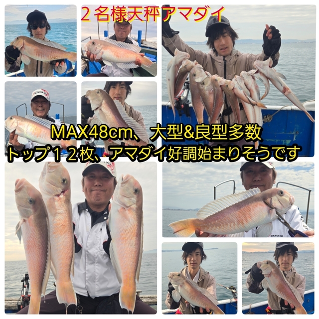 シロアマダイ