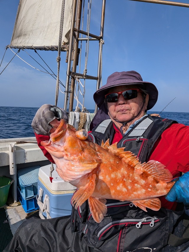 アラカブ(カサゴ)