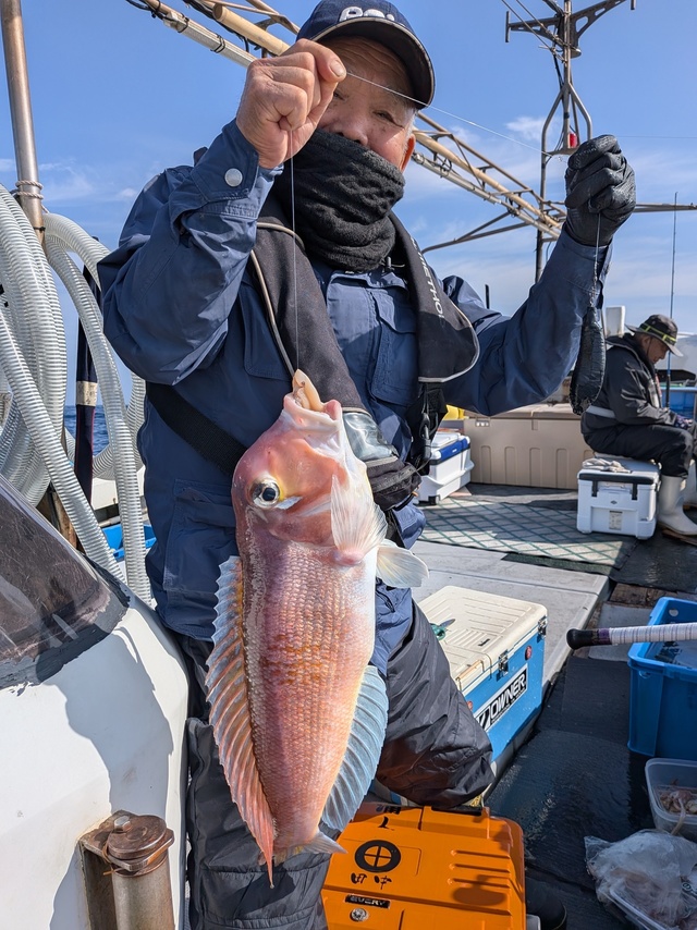 アマダイ(アカアマダイ)