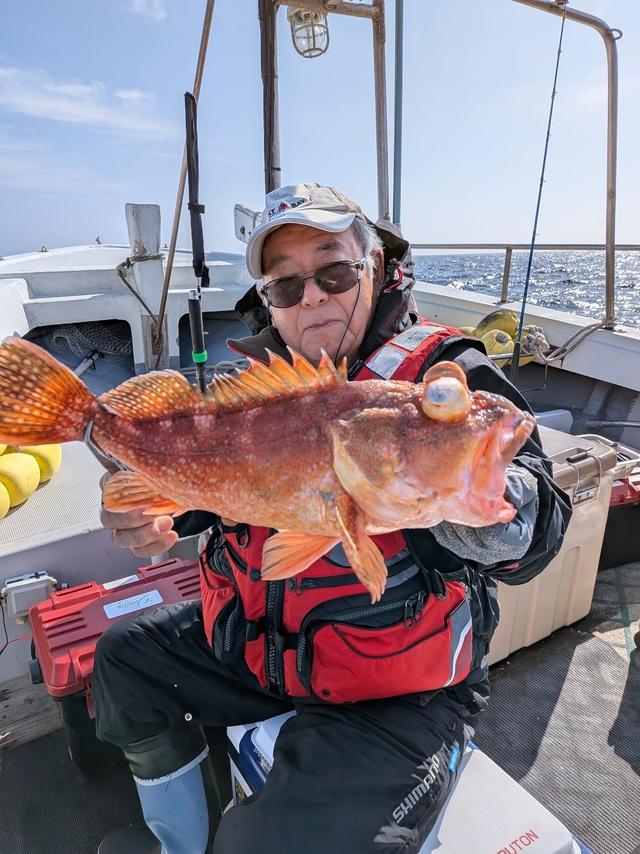 アラカブ(カサゴ)