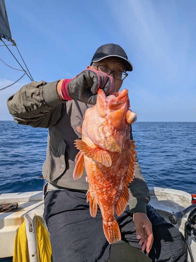 アラカブ(カサゴ)