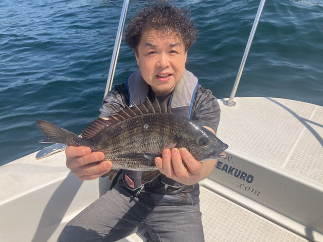 クロダイ