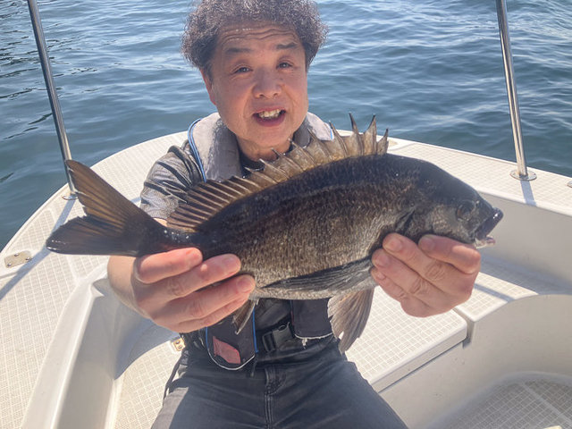 クロダイ