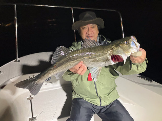 シーバス(スズキ)