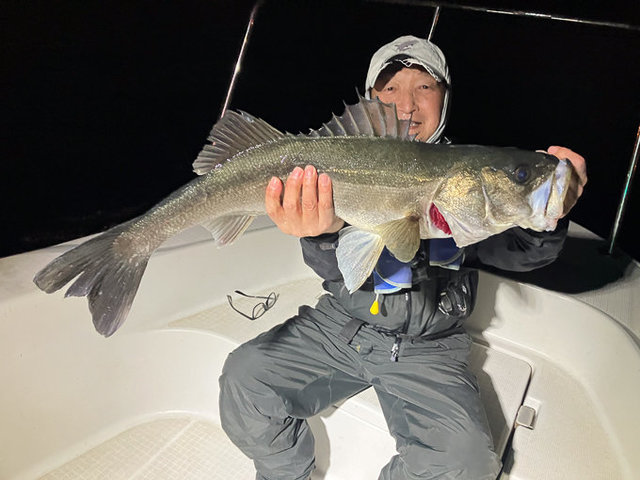 シーバス(スズキ)