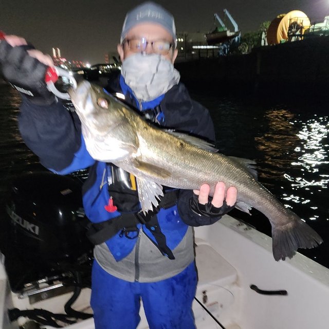 シーバス(スズキ)