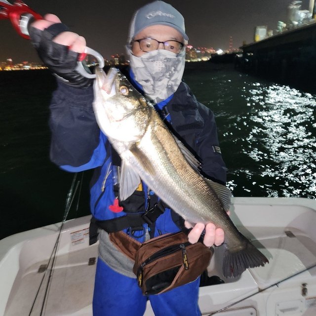 シーバス(スズキ)