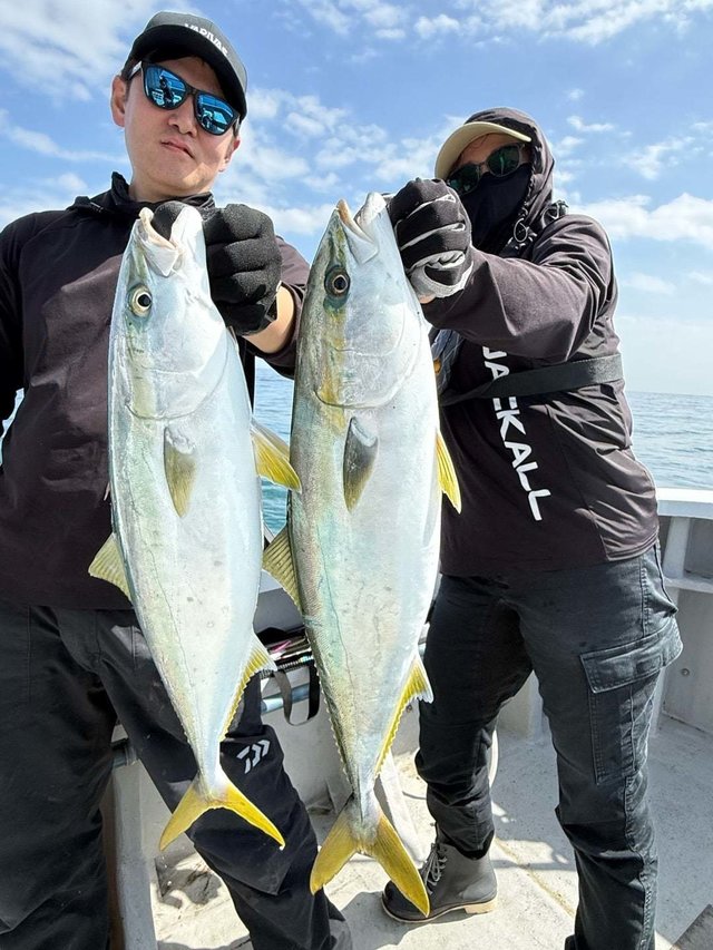 サンパク(ブリ)