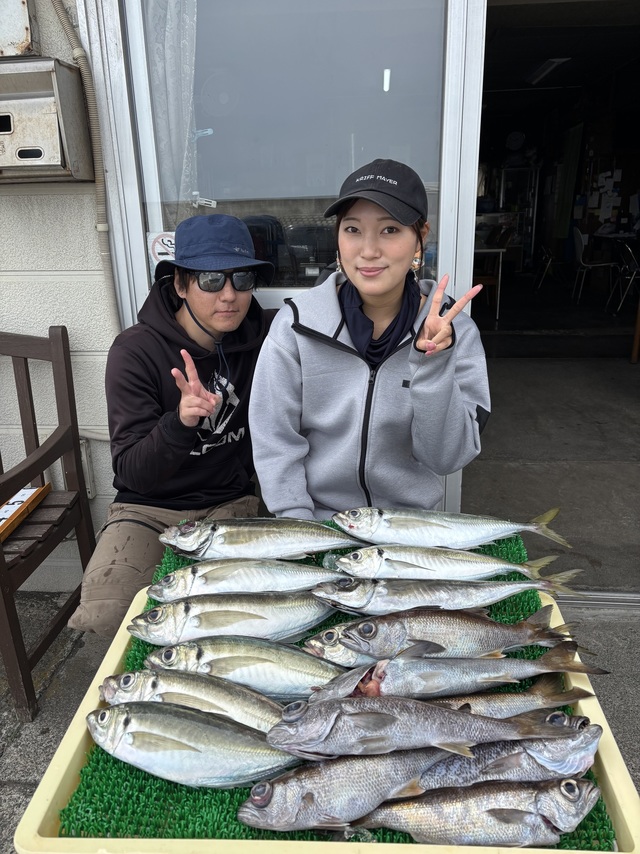 アジ(マアジ)