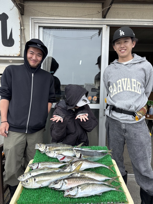 アジ(マアジ)