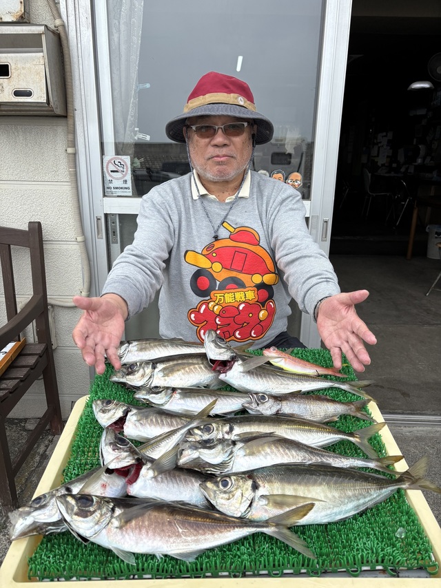 アジ(マアジ)