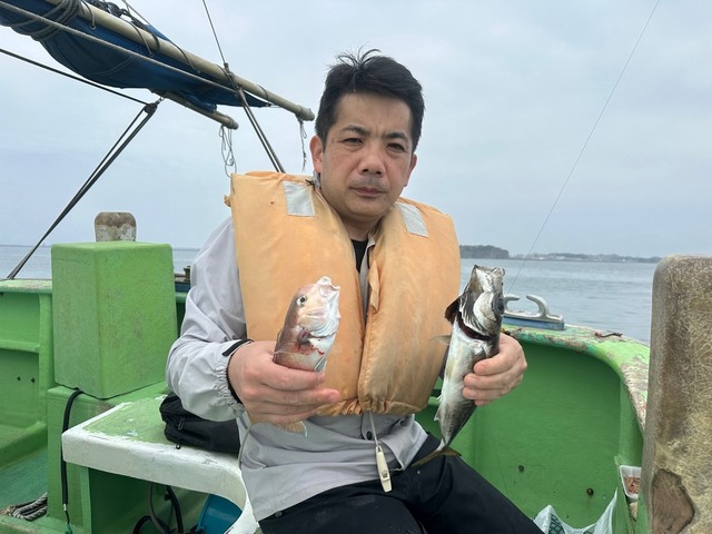 アジ(マアジ)・シロアマダイ