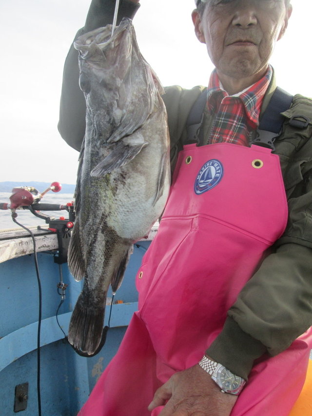 ソイ(クロソイ)