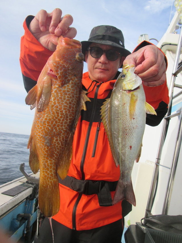 アコウ(キジハタ)・イサキ