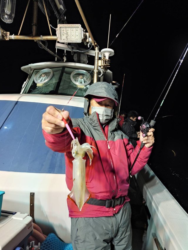 マイカ(ケンサキイカ)