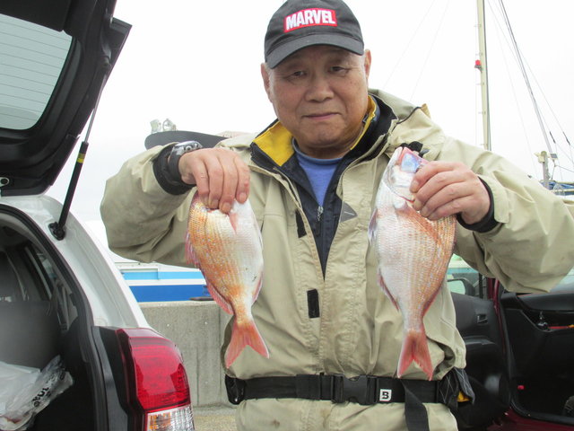 ハナダイ(チダイ)