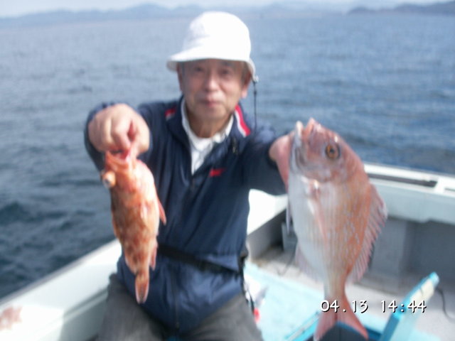 マダイ・カサゴ