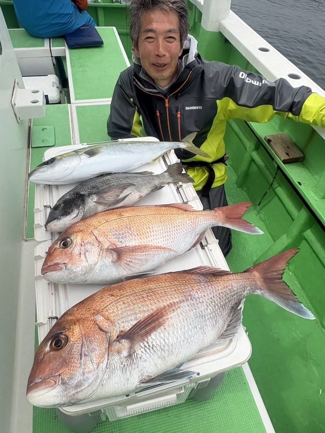 マダイ・クロダイ・イナダ(ブリ)