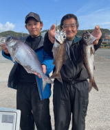 クロムツ・メダイ