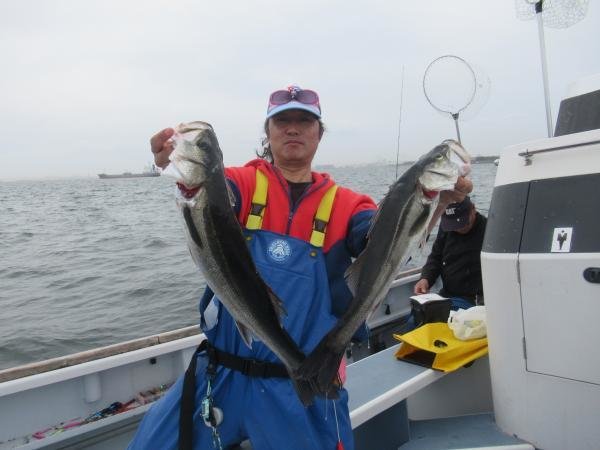 シーバス(スズキ)